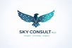 Skyconsultglobal